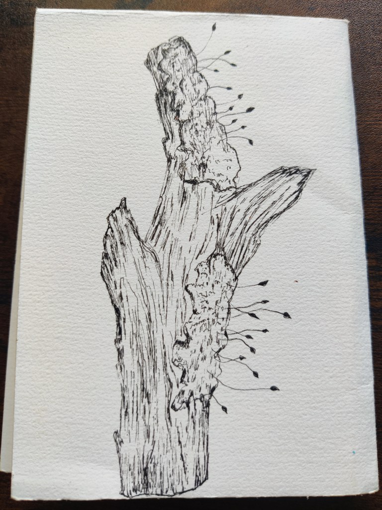 Zine: Into the woods; drawing, doodles