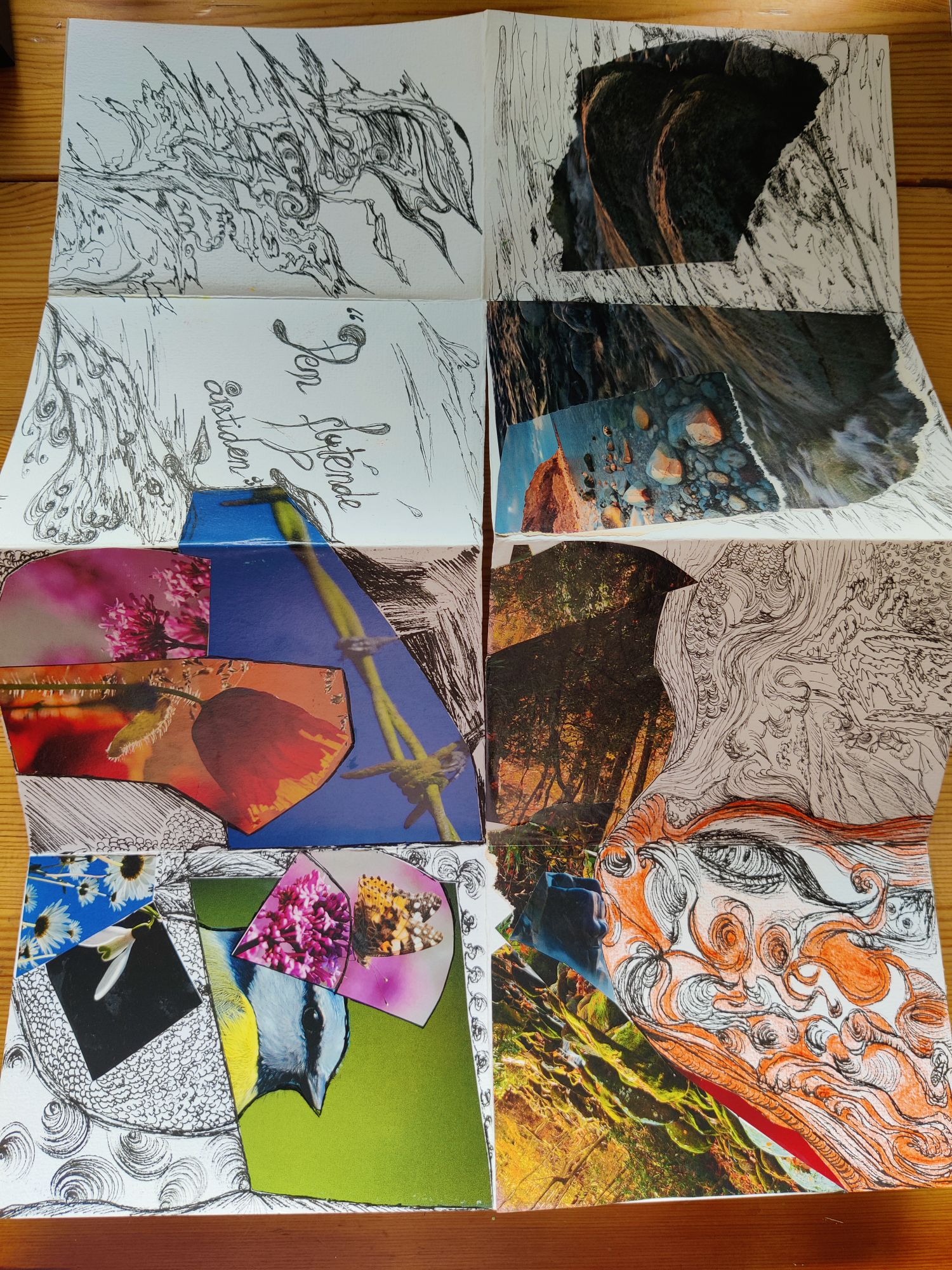 Zine: Den flytende årstiden; drawing, collage, time, nature